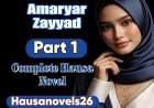 Amaryar Zayyad Part 1 Complete Hausa Novel