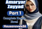 Amaryar Zayyad Part 1 Complete Hausa Novel