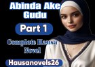 Abinda Ake Gudu Part 1 Complete Hausa Novel