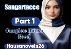 Sangartacce Part 1 Complete Hausa Novel