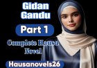 Gidan Gandu Part 1 Complete Hausa Novel