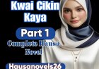 Kwai Cikin Kaya Part 1 Complete Hausa Novel