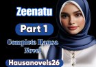 Zeenatu Part 1 Complete Hausa Novel