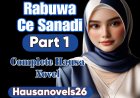 Rabuwa Ce Sanadi Part 1 Complete Hausa Novel