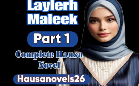 Layleeh Maleek Part 1 Complete Hausa Novel