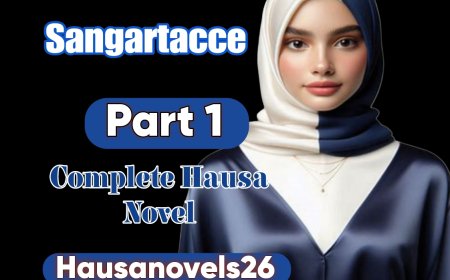 Sangartacce Part 1 Complete Hausa Novel
