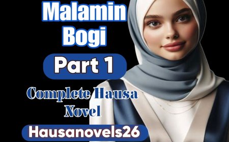 Malamin Bogi Part 1 Complete Hausa Novel