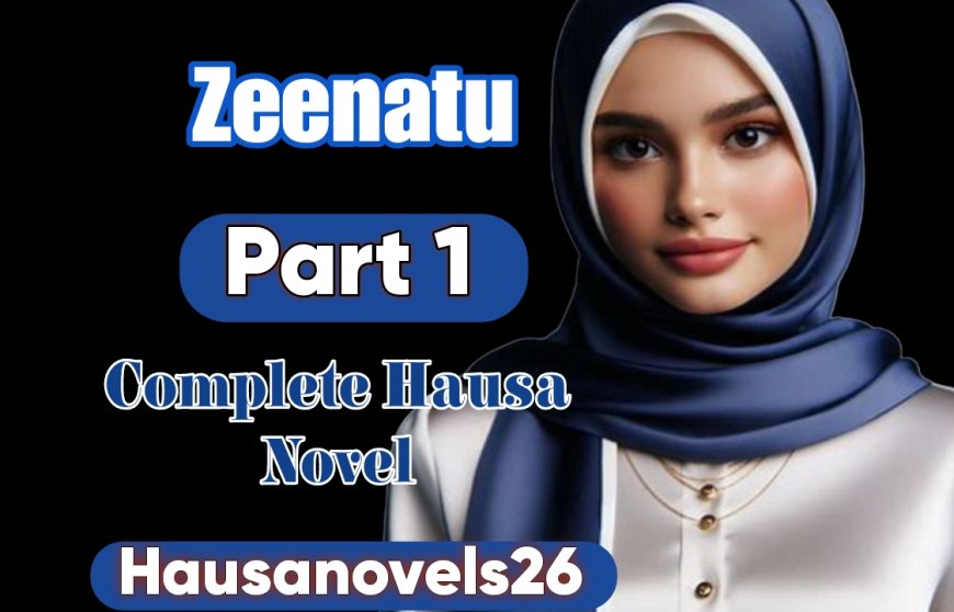 Zeenatu Part 1 Complete Hausa Novel