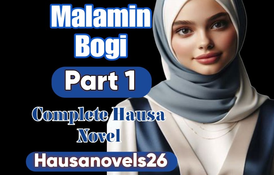 Malamin Bogi Part 1 Complete Hausa Novel